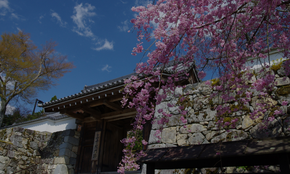 天台宗 京都大原三千院